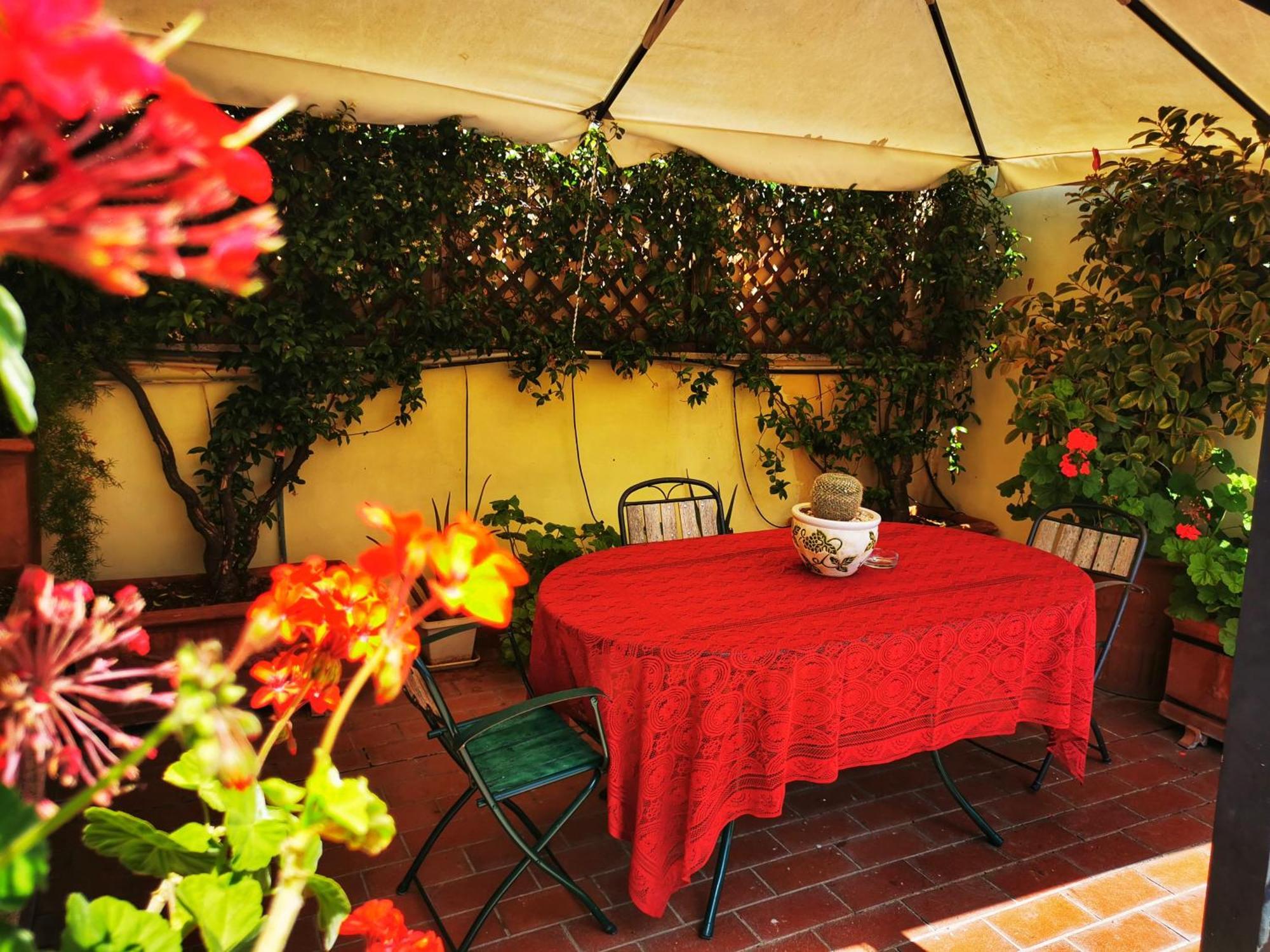 Attic Garden — Photos 2