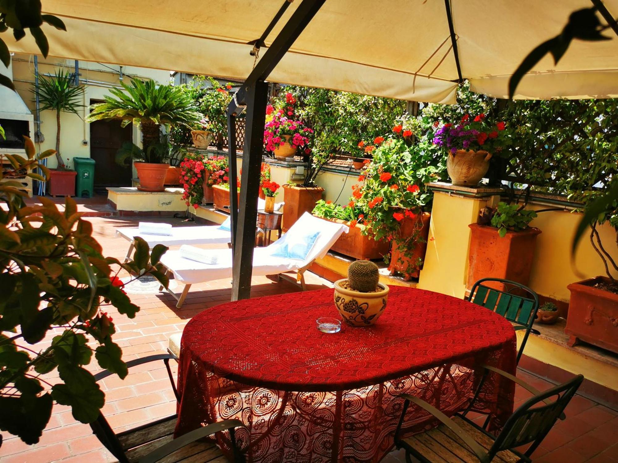Attic Garden — Photos 1